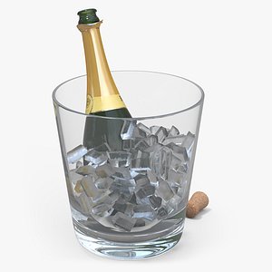 Ice Bucket and Champagne 3D