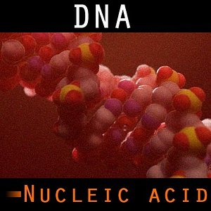 organically dna 3d model