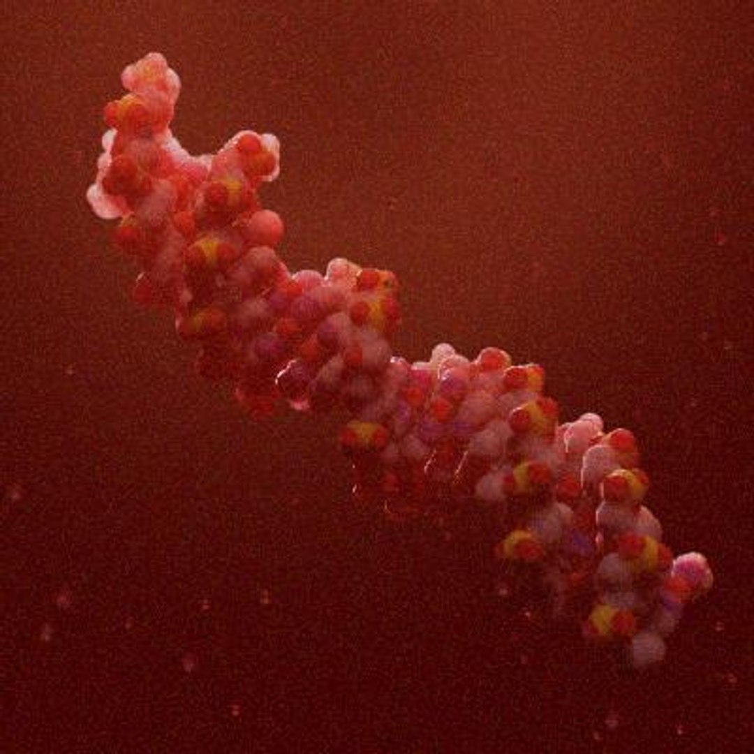 Organically Dna 3d Model