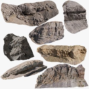 Cliff Collection StemCell