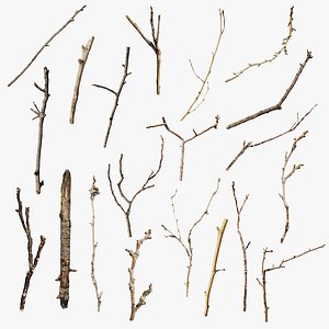 Scanned Sprigs Collection StemCell