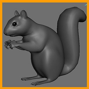 gray squirrel 3d ma