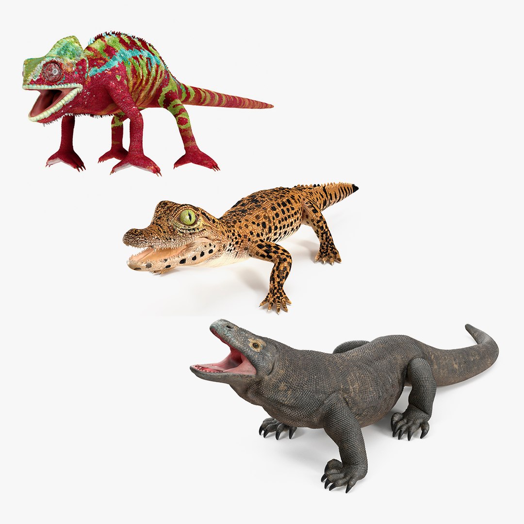 Reptiles Collection 3D model preview