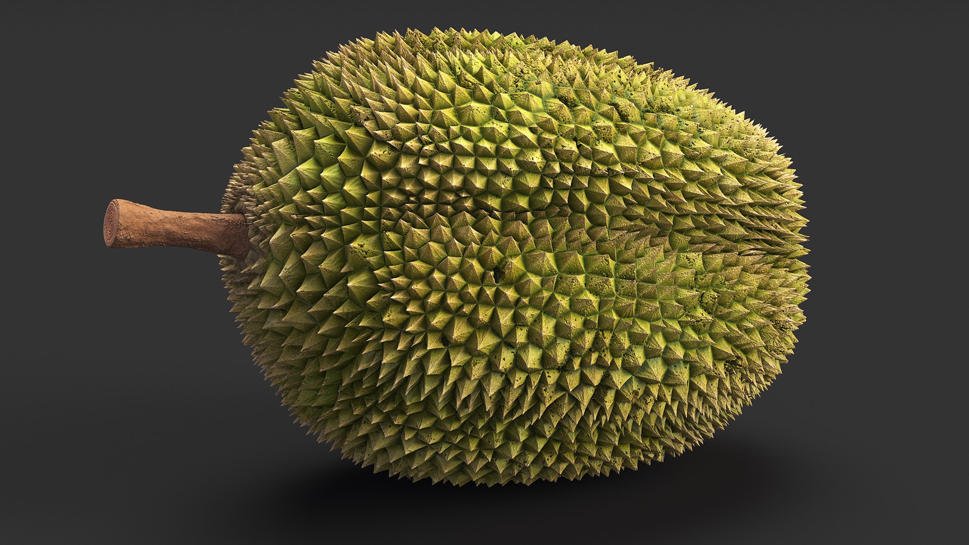 Ripe Durian Fruit 3D https://p.turbosquid.com/ts-thumb/0N/jKzscS/8n/ripedurianfruit3dsmodel006/jpg/1685605229/1920x1080/fit_q87/ed5c4109811b41da5f6da84f08d805a3a7323b1f/ripedurianfruit3dsmodel006.jpg