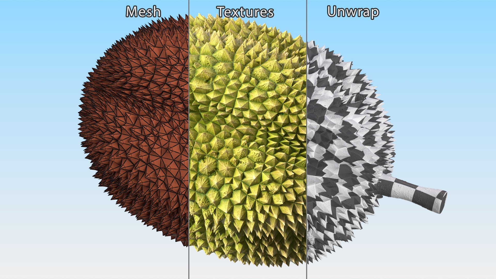 Ripe Durian Fruit 3D https://p.turbosquid.com/ts-thumb/0N/jKzscS/C2/ripedurianfruit3dsmodel014/jpg/1685605257/1920x1080/fit_q87/a15238b348964fb2bccb9fa9fab521ef5c50b546/ripedurianfruit3dsmodel014.jpg