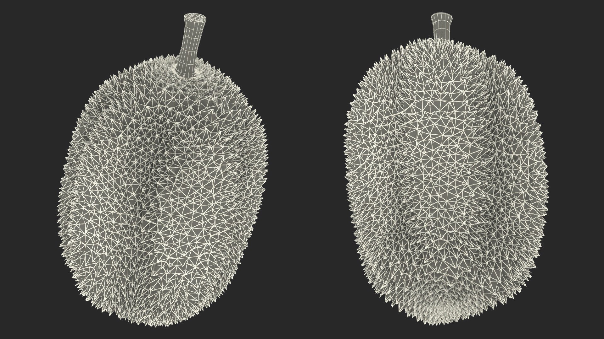 Ripe Durian Fruit 3D https://p.turbosquid.com/ts-thumb/0N/jKzscS/GV/ripedurianfruit3dsmodel024/jpg/1685605293/1920x1080/fit_q87/15044055accba016c8163f5d6e54669793a2084f/ripedurianfruit3dsmodel024.jpg