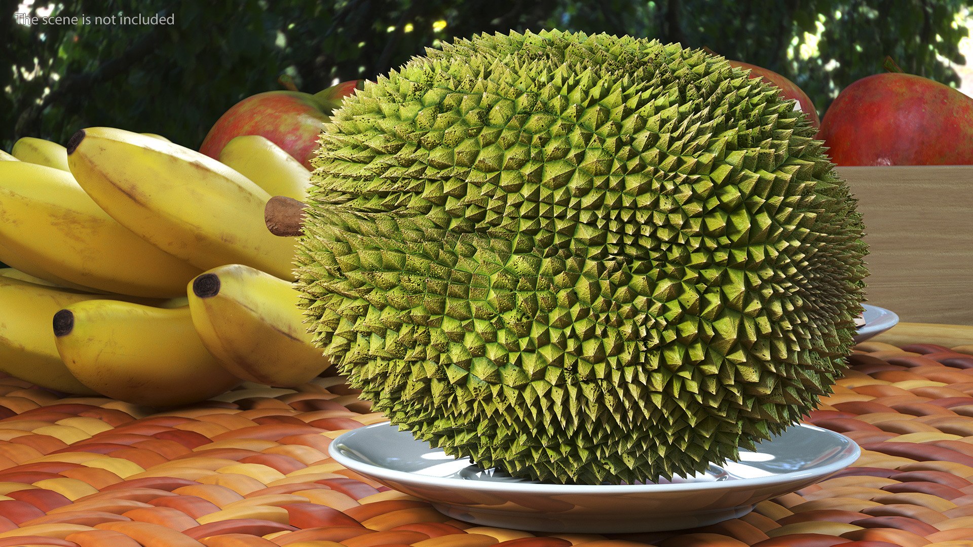 Ripe Durian Fruit 3D https://p.turbosquid.com/ts-thumb/0N/jKzscS/MS/ripedurianfruit3dsmodel003/jpg/1685605217/1920x1080/fit_q87/9bd1972f467df25643998e52df40ef80e547d25c/ripedurianfruit3dsmodel003.jpg