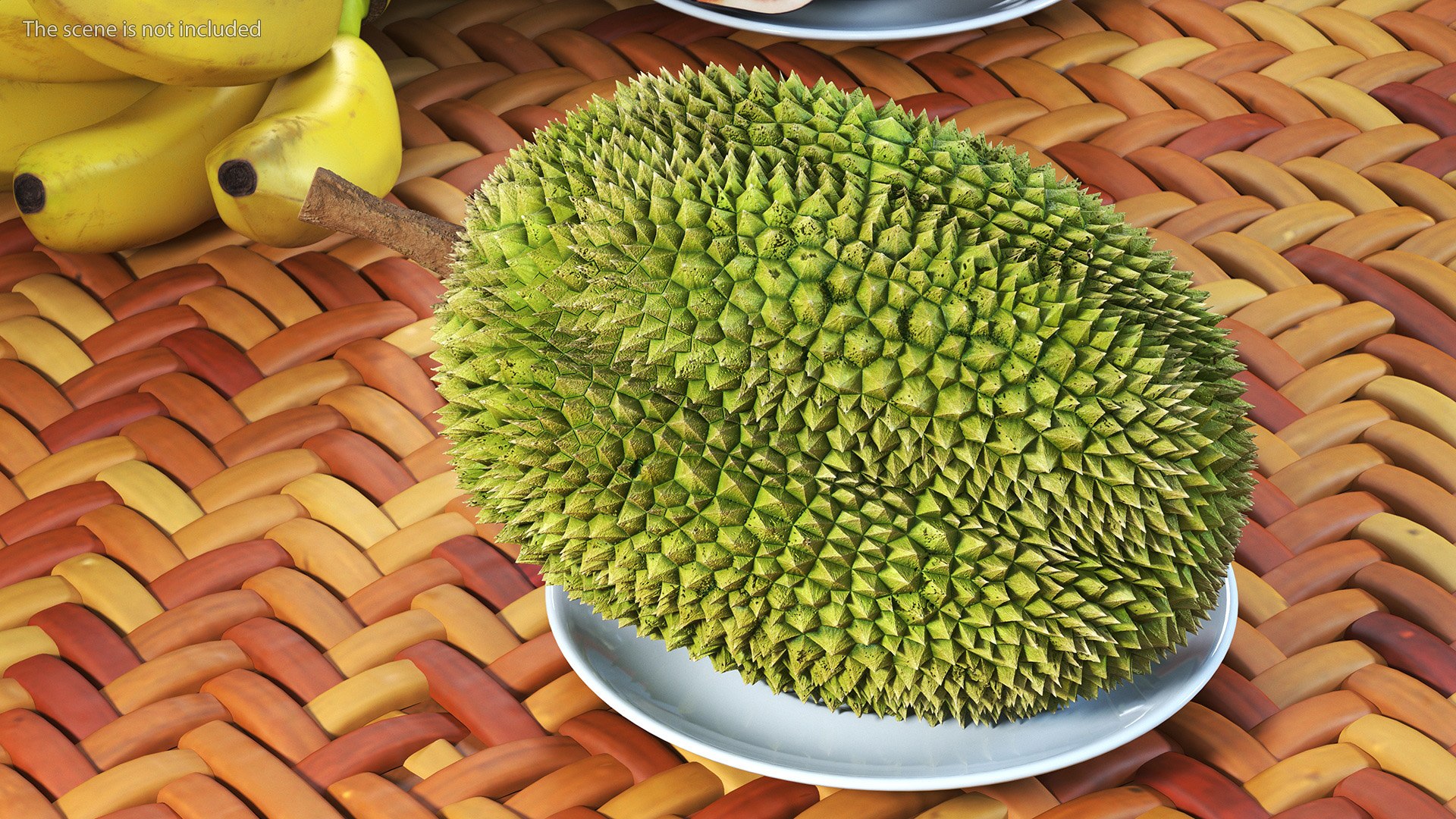 Ripe Durian Fruit 3D https://p.turbosquid.com/ts-thumb/0N/jKzscS/P6/ripedurianfruit3dsmodel005/jpg/1685605225/1920x1080/fit_q87/56f89b650c9261ac34a3626091feab53078aedcb/ripedurianfruit3dsmodel005.jpg