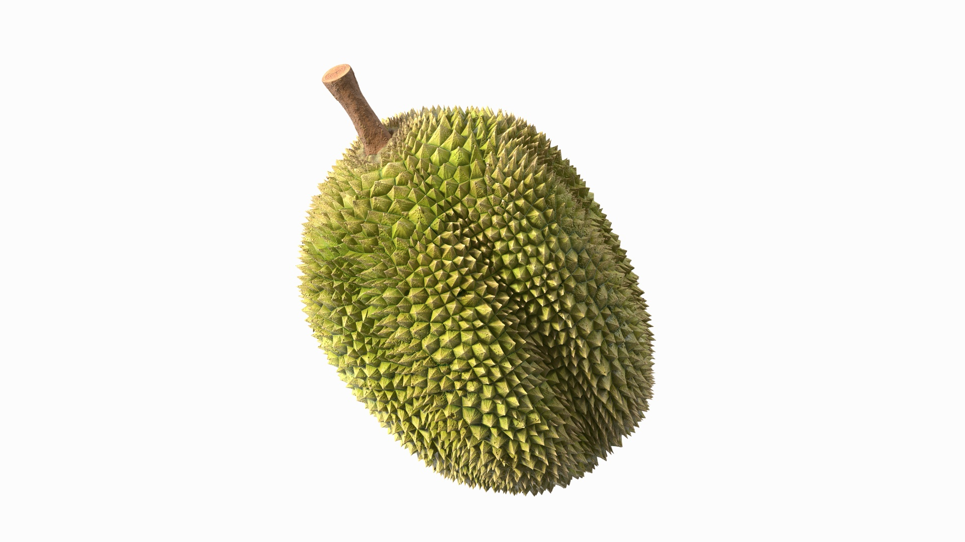 Ripe Durian Fruit 3D https://p.turbosquid.com/ts-thumb/0N/jKzscS/PU/ripe_durian_fruit_360/jpg/1685604866/1920x1080/turn_fit_q99/ac43405c26f8cc83a699f6f01601e23288ba9640/ripe_durian_fruit_360-1.jpg