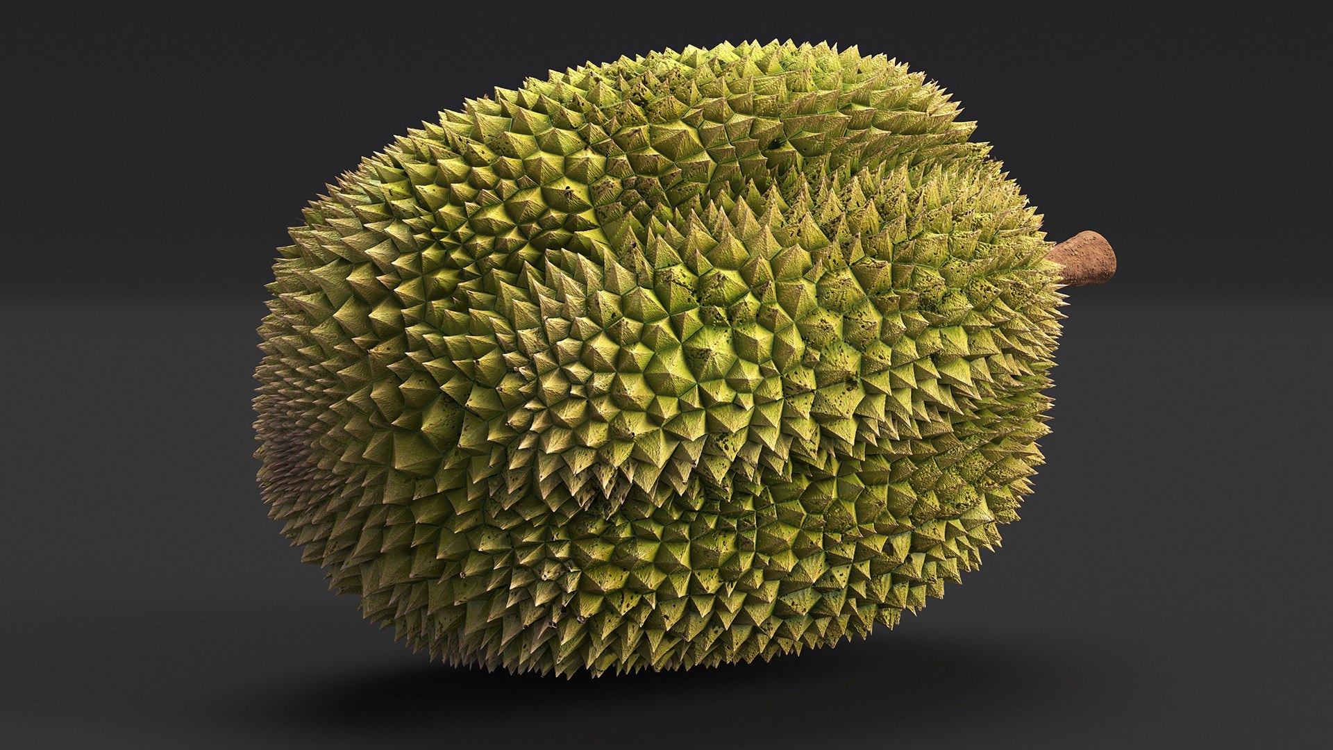 Ripe Durian Fruit 3D https://p.turbosquid.com/ts-thumb/0N/jKzscS/UO/ripedurianfruit3dsmodel007/jpg/1685605233/1920x1080/fit_q87/20ac013cb8e8a48ce5e20a8cd4b67e18df31f86f/ripedurianfruit3dsmodel007.jpg