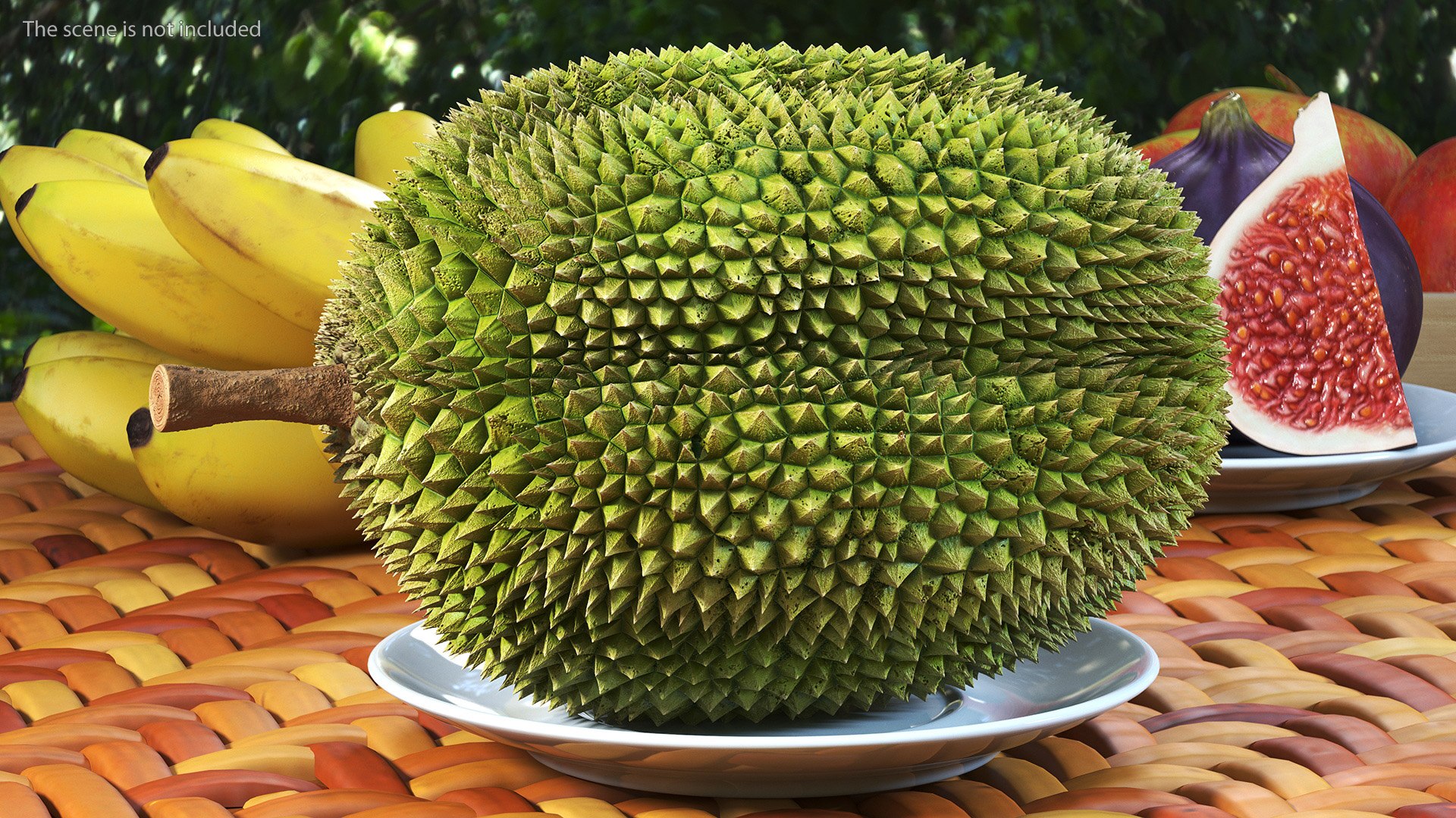 Ripe Durian Fruit 3D https://p.turbosquid.com/ts-thumb/0N/jKzscS/bd/ripedurianfruit3dsmodel002/jpg/1685605213/1920x1080/fit_q87/cf9092fdabb01950df8247b6bd1f8a81eb4ae312/ripedurianfruit3dsmodel002.jpg