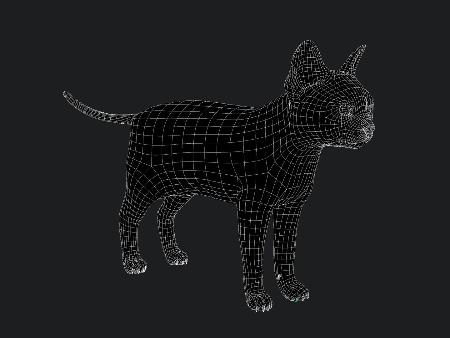 Cat Orange Tabby RIG - XGEN version 3D model https://p.turbosquid.com/ts-thumb/0N/kY9wP6/GC/wire01copy/jpg/1692352316/1920x1080/fit_q87/eb2156abdf6bee44cd943b13412cf3f9f73aeda5/wire01copy.jpg