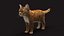 Przypon Cat Orange Tabby RIG - wersja XGEN
