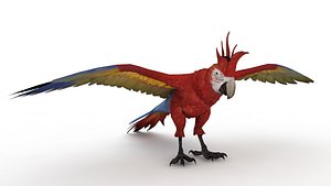 Mountain parrot 3D