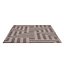Pallas rug