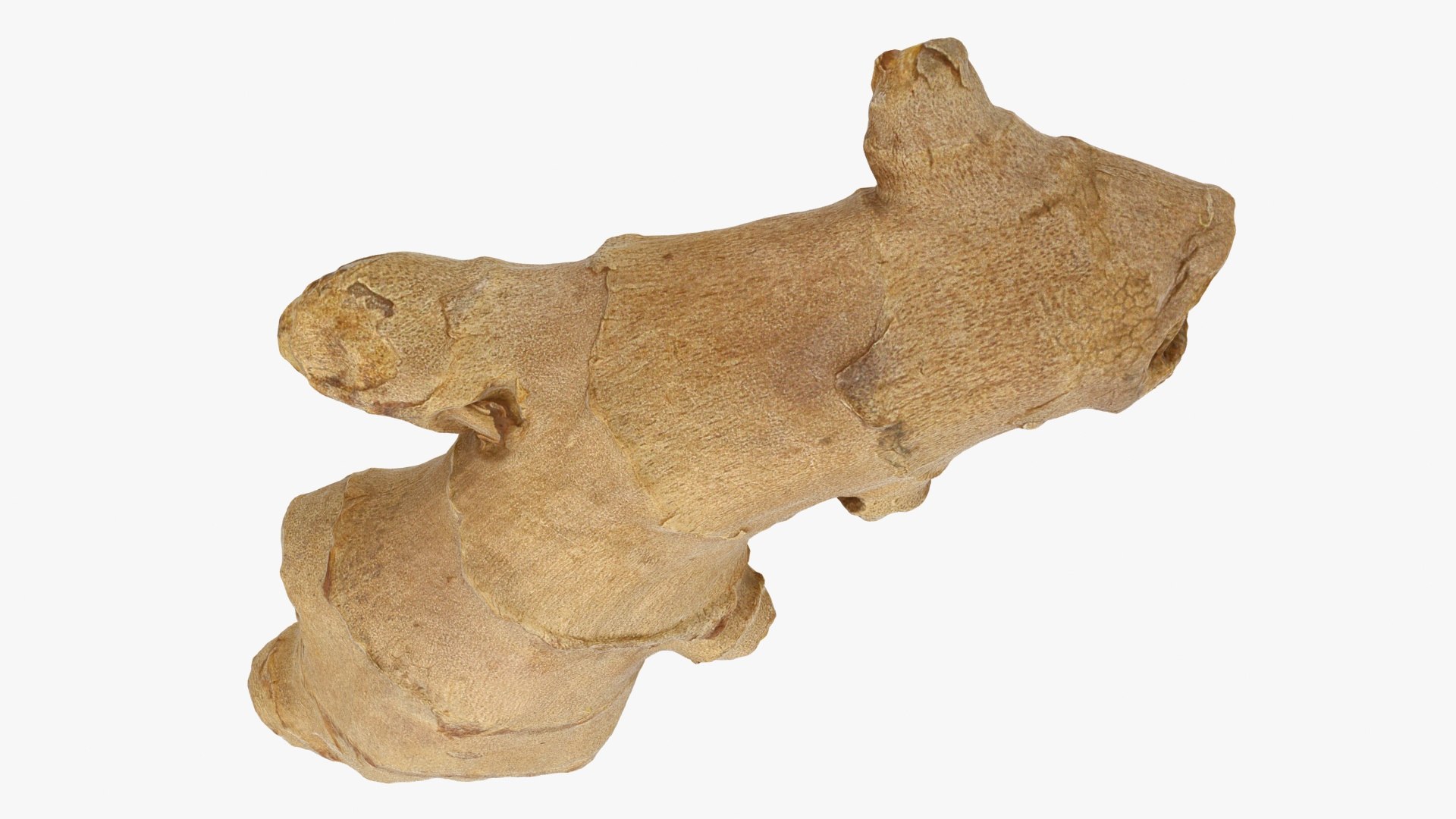 Ginger 01 3D https://p.turbosquid.com/ts-thumb/0O/B8zQJV/0x/lemon_rr_18a/jpg/1619263420/1920x1080/fit_q87/55e19c3a642ea9715bb8bc89924e9cdaa0f4cdfb/lemon_rr_18a.jpg