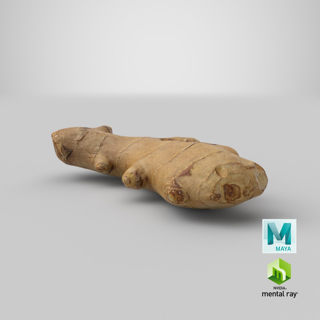Ginger 01 3D https://p.turbosquid.com/ts-thumb/0O/B8zQJV/K1/stemcell_maya_mental_ray_render/png/1619627925/1920x1080/fit_q87/3792b31612b9d9a0c09ca52374040c468b3666b3/stemcell_maya_mental_ray_render.jpg