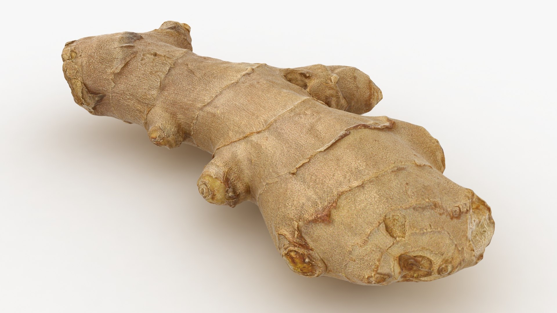 Ginger 01 3D https://p.turbosquid.com/ts-thumb/0O/B8zQJV/r8/lemon_rr_07/jpg/1619263450/1920x1080/fit_q87/b3bcbb4db0c9f4a1d3f9ca196eb07a798edafe67/lemon_rr_07.jpg