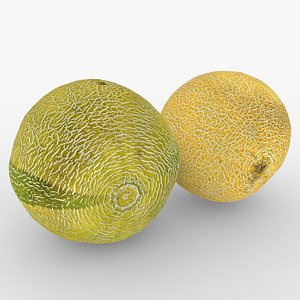 3D Melon Scan Set model