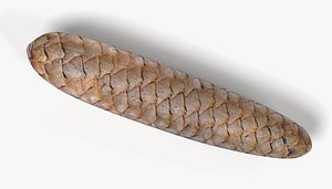 spruce cone 3D model