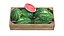 Watermelon Wooden Crate