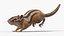 Tree-Dwelling Chipmunk Rigged for Cinema 4D