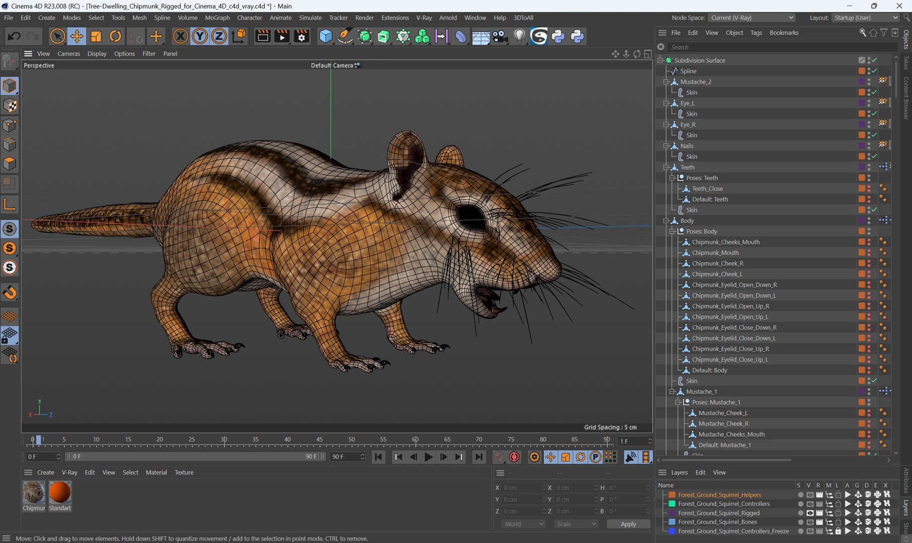 3D Tree-Dwelling Chipmunk Rigged for Cinema 4D https://p.turbosquid.com/ts-thumb/0O/iGsVJT/uT/treedwelling_chipmunk_rigged_for_cinema_4d_1004/jpg/1759148749/1920x1080/fit_q87/c97e6653c0b964e7e3ef2b099334110237bf5805/treedwelling_chipmunk_rigged_for_cinema_4d_1004.jpg