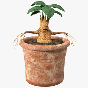 3D Mandragora Flower Pot