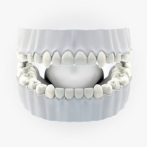 Teeth and tongue without texture