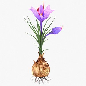 plant details parts 3D model