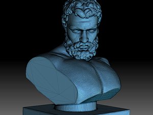 3D model hercule bust