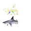 Sandbar Shark Rigged 3D Model