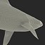 Sandbar Shark Rigged 3D Model