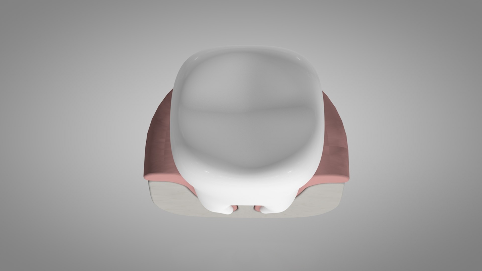 plaque tartar infection model https://p.turbosquid.com/ts-thumb/0P/Rdueje/NSWdc4OY/cenital3/jpg/1599811568/1920x1080/fit_q87/ad3a787a1ccc5b8d824c350a51d636264804543c/cenital3.jpg