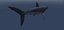 Sea Creatures