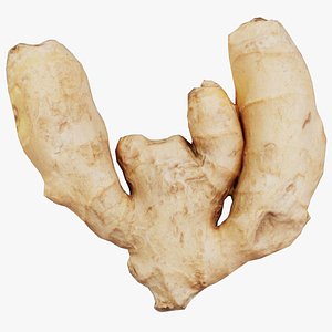 Ginger Remastered 3D model