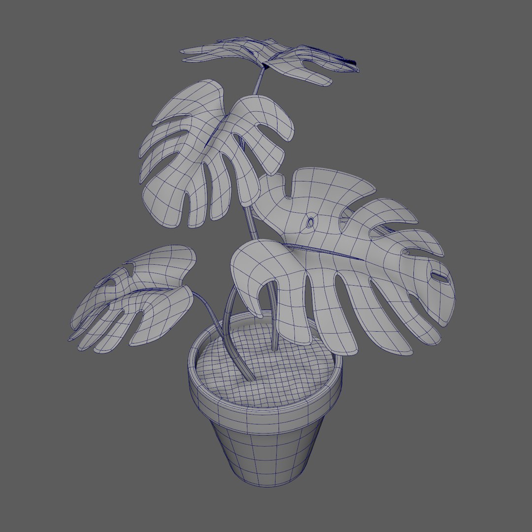 Monstera Plant - Rigged-Dynamic 3D model https://p.turbosquid.com/ts-thumb/0P/SO7iJZ/5D/untitled1recovered/jpg/1621448143/1920x1080/fit_q87/244aacd45345e17841173e21c7dfd727f40136a7/untitled1recovered.jpg