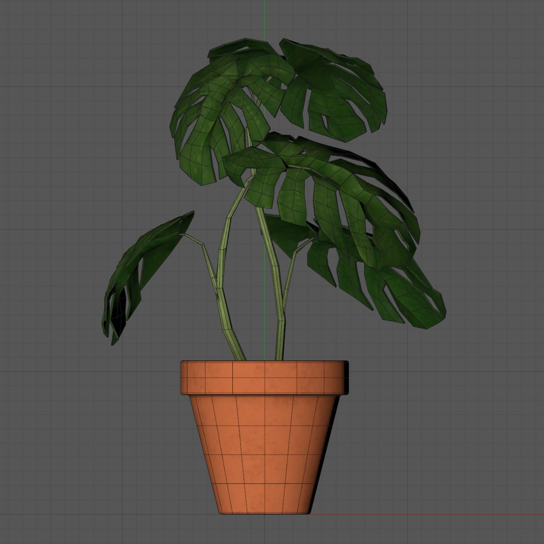 Monstera Plant - Rigged-Dynamic 3D model https://p.turbosquid.com/ts-thumb/0P/SO7iJZ/J2/layer3/png/1621416234/1920x1080/fit_q87/1e8d0964197f13914660ebb0bd21b376bd67effc/layer3.jpg