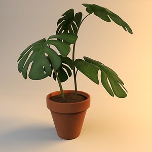 Monstera Plant - Rigged-Dynamic 3D model
