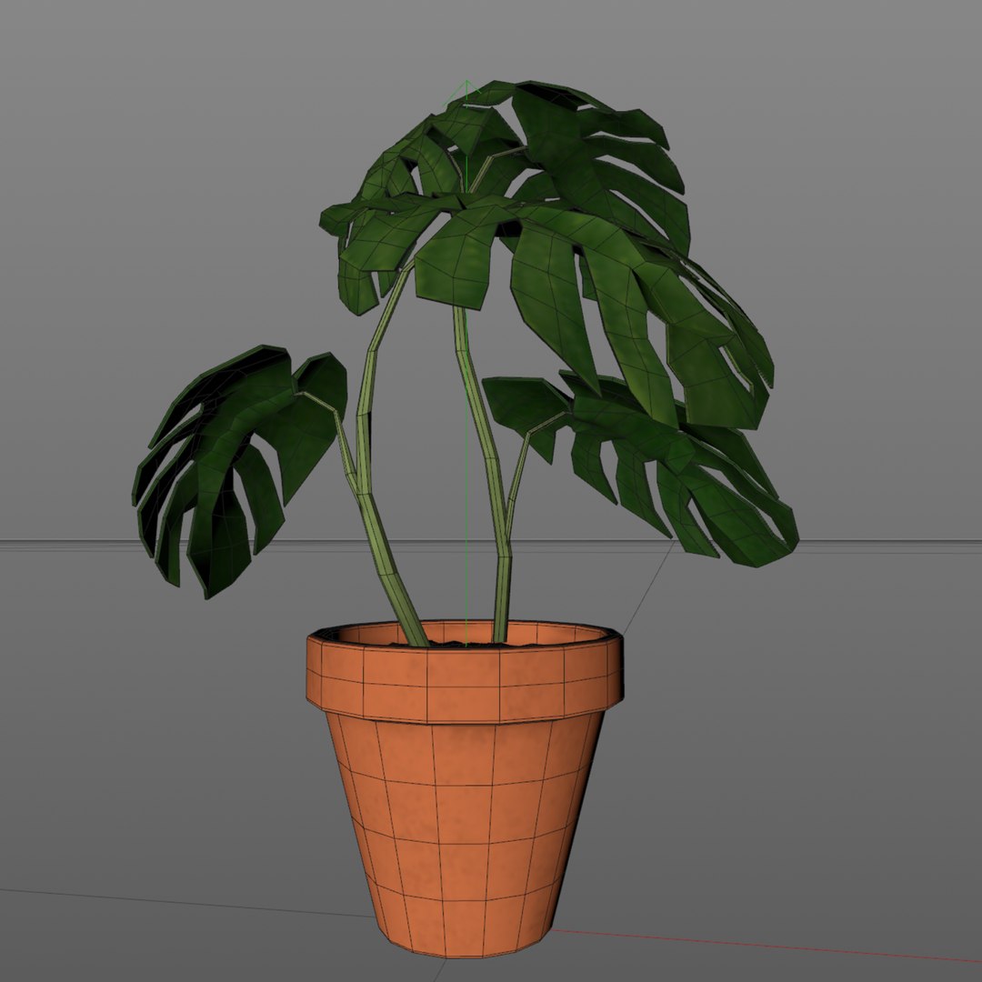 Monstera Plant - Rigged-Dynamic 3D model https://p.turbosquid.com/ts-thumb/0P/SO7iJZ/UZ/layer2/png/1621416232/1920x1080/fit_q87/cdf917e22063cb3ed374c8825962b037549f436b/layer2.jpg