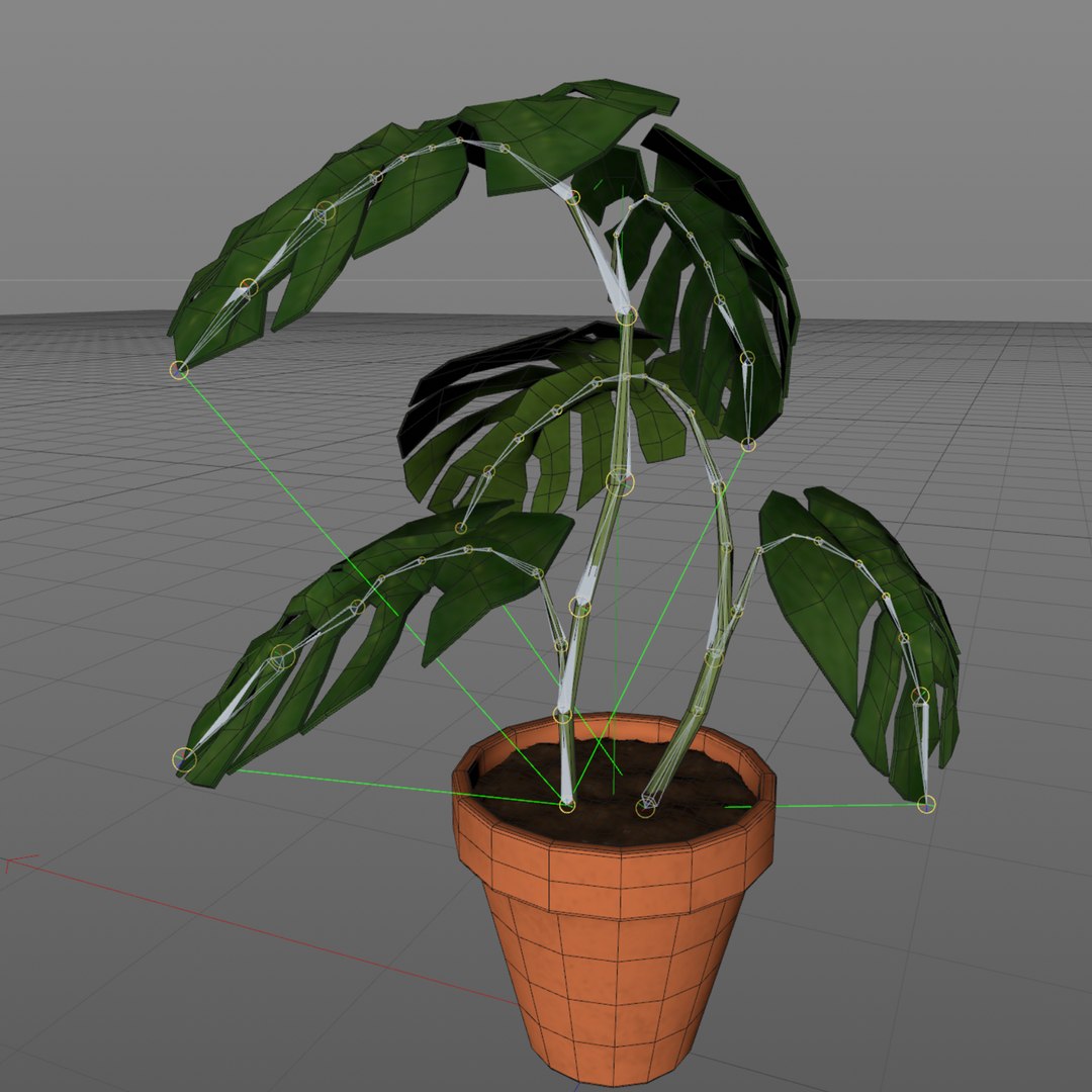 Monstera Plant - Rigged-Dynamic 3D model https://p.turbosquid.com/ts-thumb/0P/SO7iJZ/bf/layer5/png/1621416235/1920x1080/fit_q87/f6abbedc61bffbfbf6cf48cf2254014ebb3d0eb4/layer5.jpg