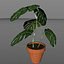Monstera-Pflanze - Rigged-Dynamic
