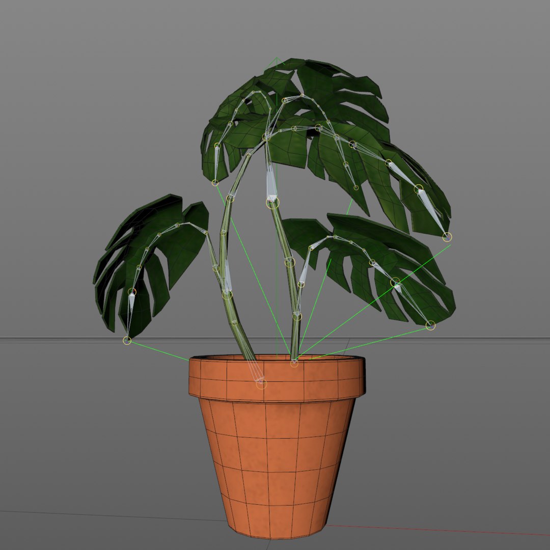 Monstera Plant - Rigged-Dynamic 3D model https://p.turbosquid.com/ts-thumb/0P/SO7iJZ/uA/layer4/png/1621416234/1920x1080/fit_q87/8ef4a40af72a73ff697f1a9923680167734b8be5/layer4.jpg
