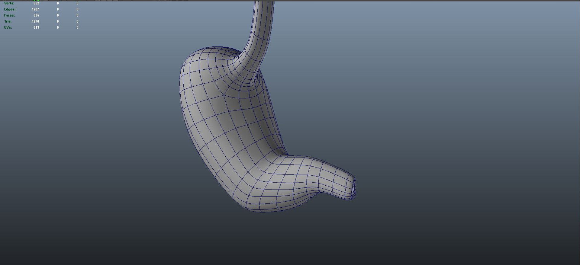Anatomy Human 3D Model - TurboSquid 1691726