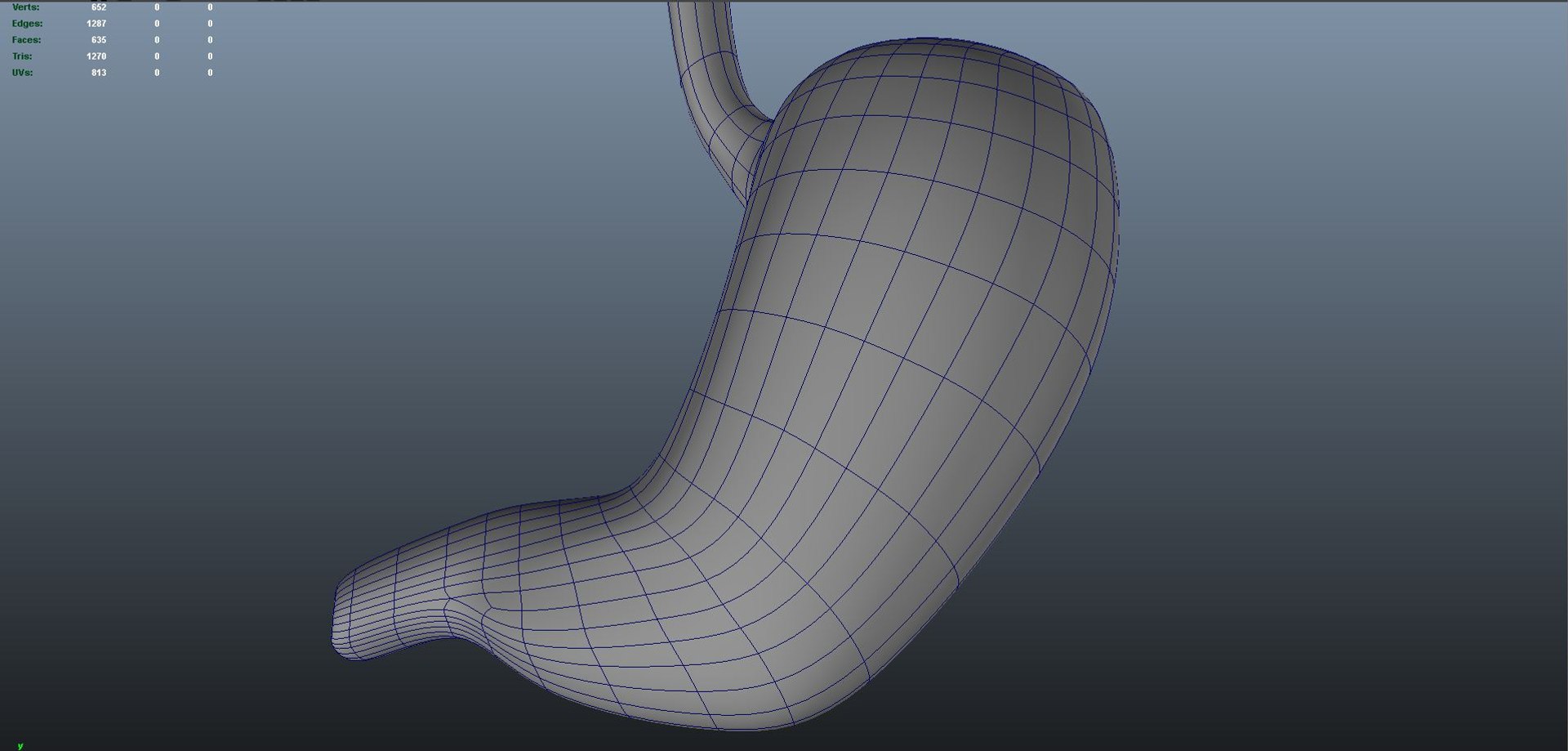 Anatomy Human 3D Model - TurboSquid 1691726