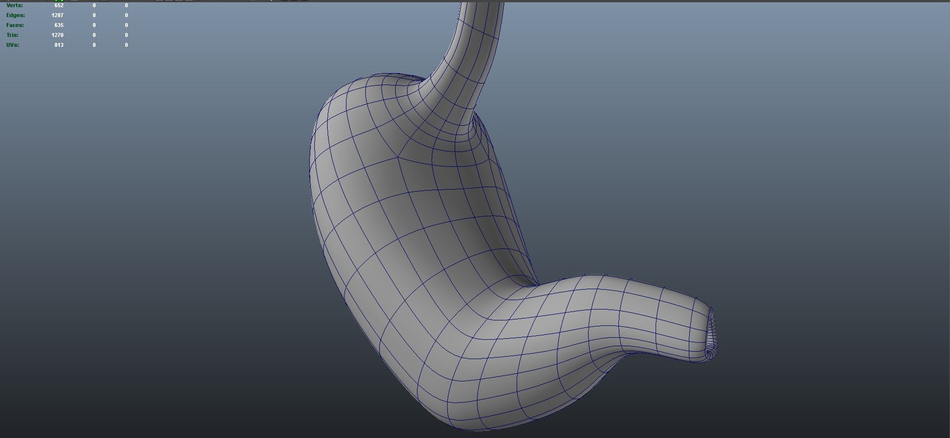 Anatomy Human 3D Model - TurboSquid 1691726