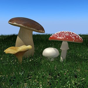 3d Mushrooms collection