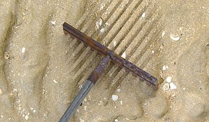 3dm rusted rake