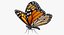 monarch butterfly rigged 3D model