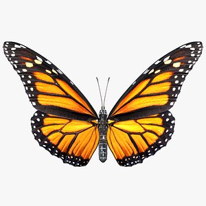 monarch butterfly rigged 3D model